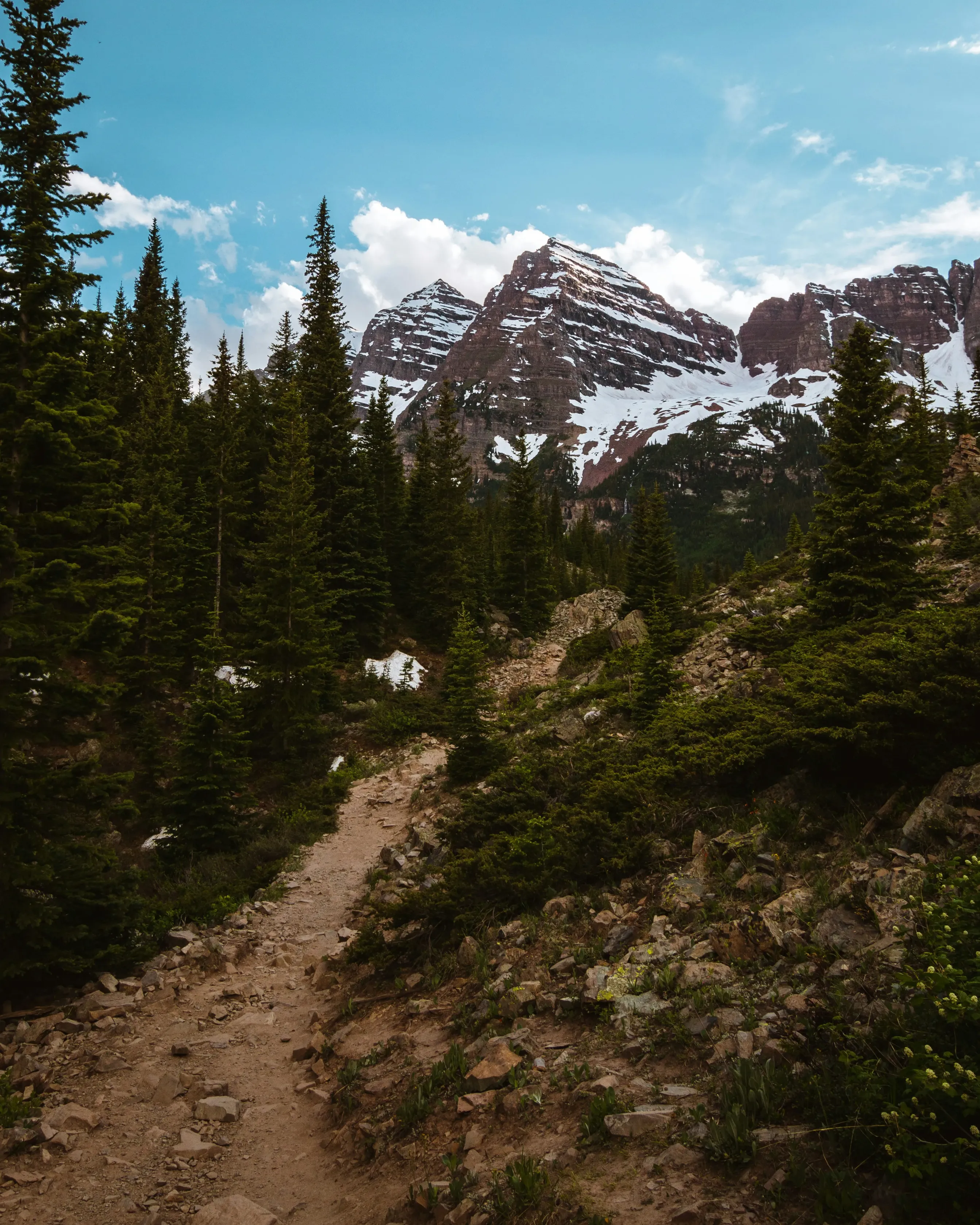 a trail leading to a mountain with snow on it
