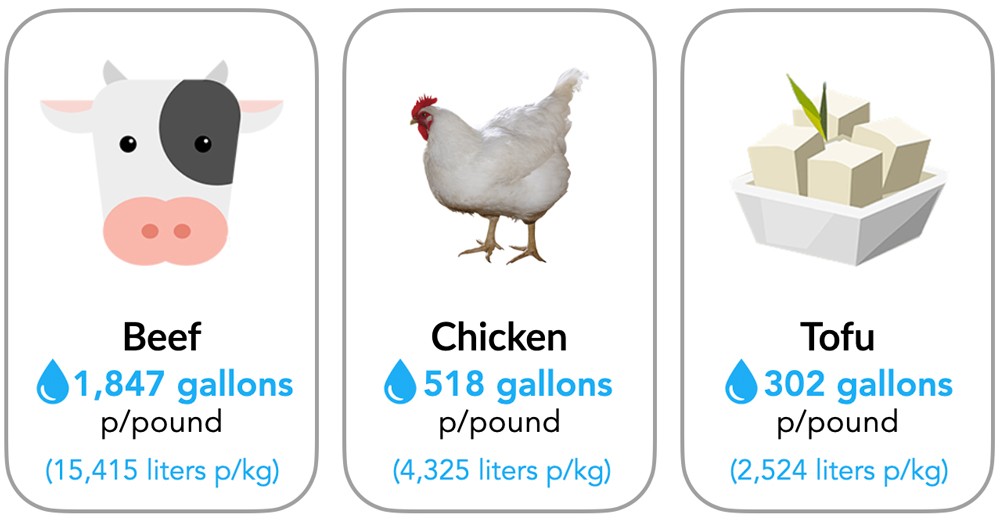 The water footprint of beef, chicken and tofu.