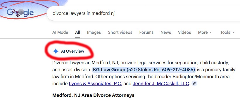screenshot of the Google AI Overviews