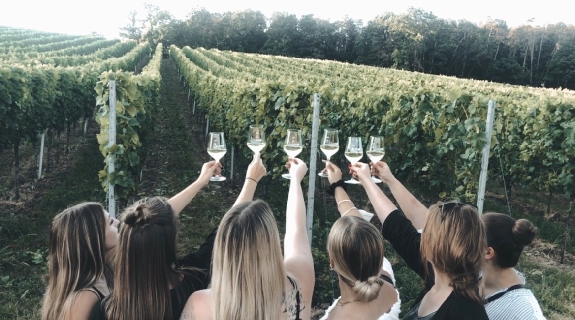 Elara Events: Wine tastings, Jordan wines, and loyalty rewards in Saros