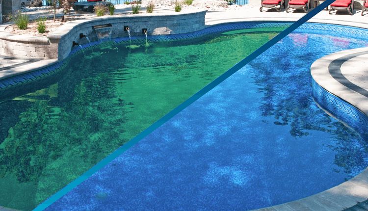 how-to-remove-green-algae-from-a-swimming-pool-and-prevent-it