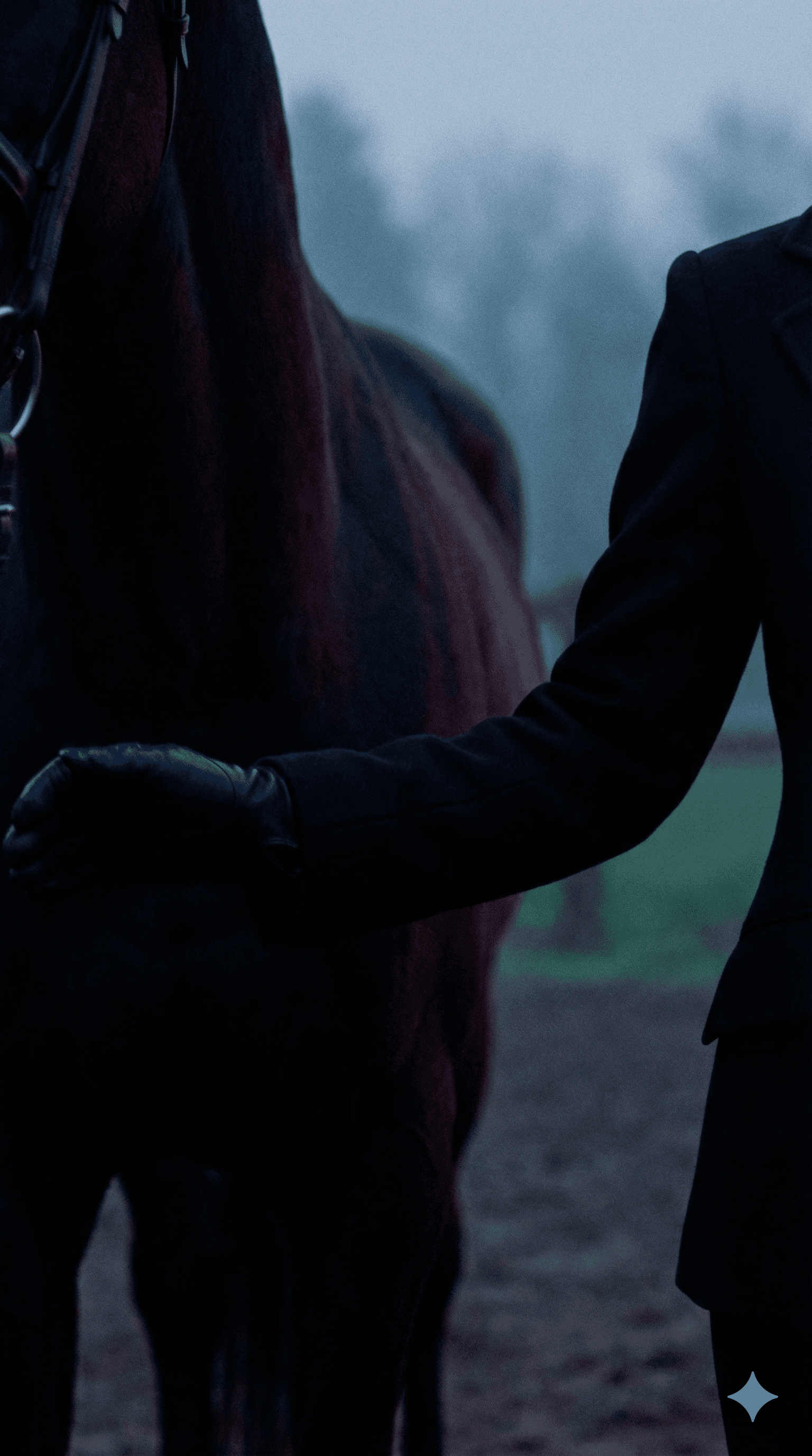 A large crowd of people at a concert