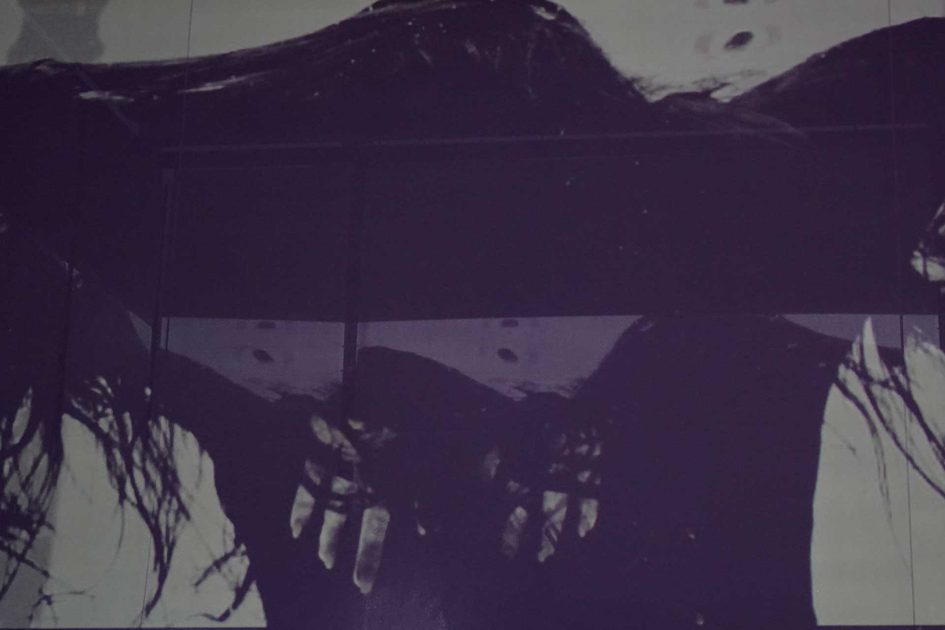 Expose - augmented performance installation