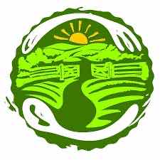 woman in black long sleeve shirt sitting on white couch