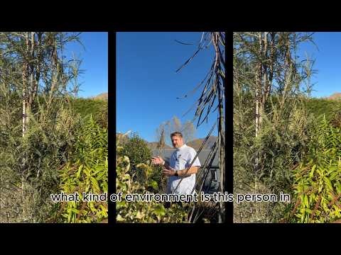 Video thumbnail: Stop Blaming The Tree (Person).
