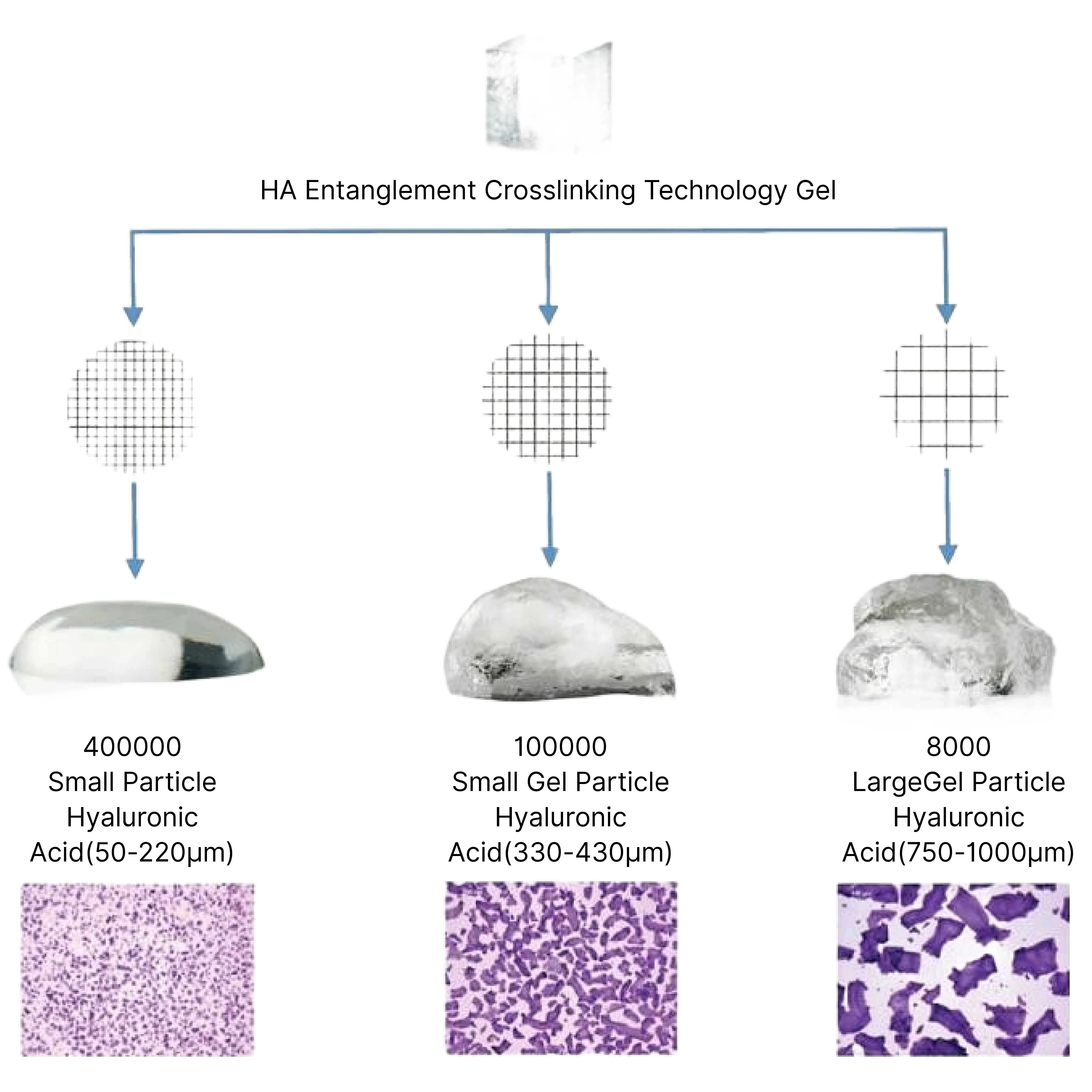 HA Entanglement Crosslinking Technology Gel aowitahyaluronic acid manufacturers in china