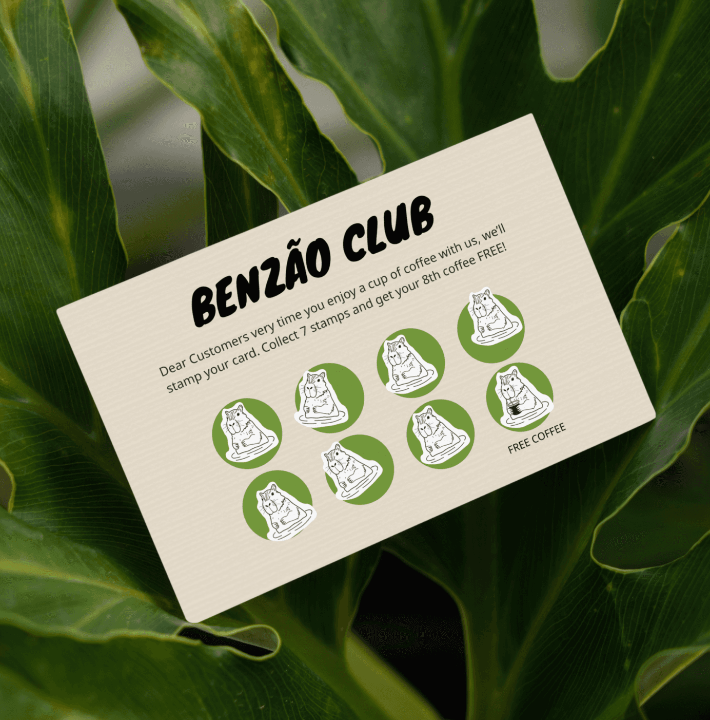 Project Gallery Image for 50% width of the screen #2