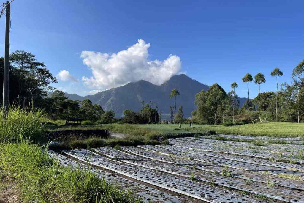 View from bottom of Mount Batur hike