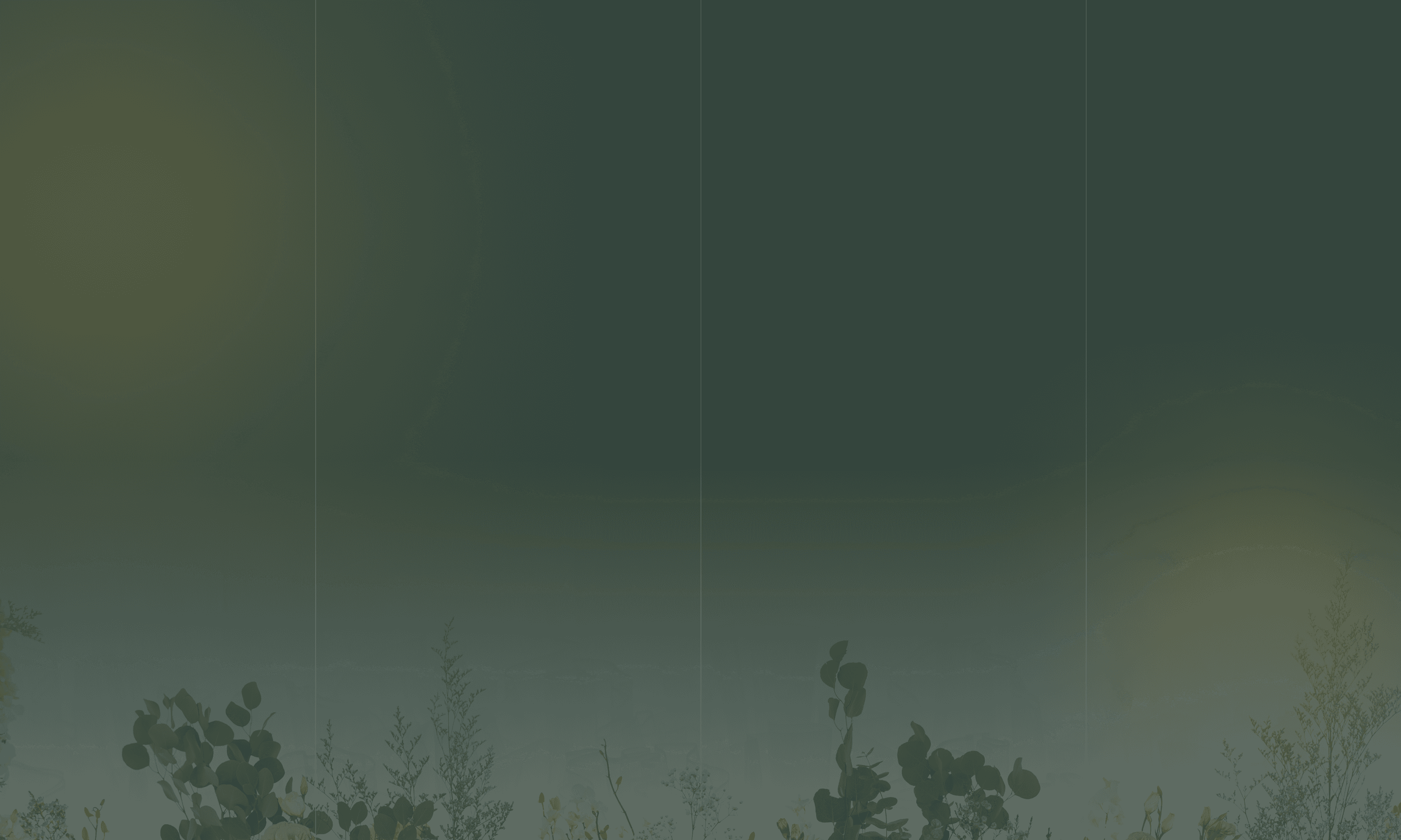 BG Image