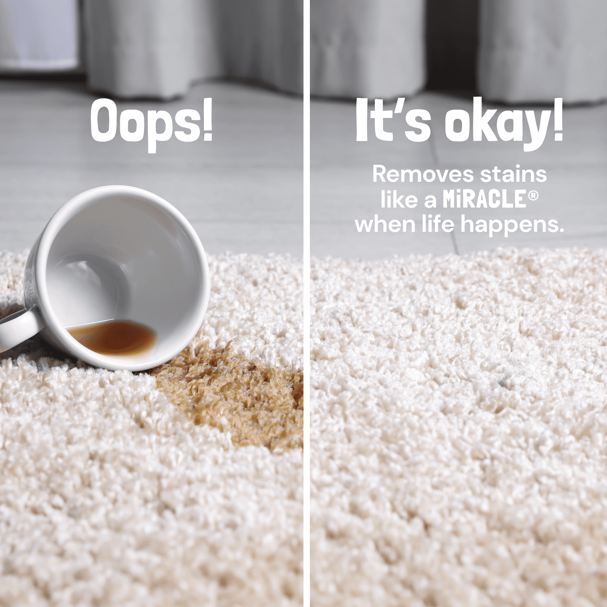 Sunny & Honey Sunny and Honey carpet miracle pet stain removal carpet cleaning pets kids leaping bunny odor removal