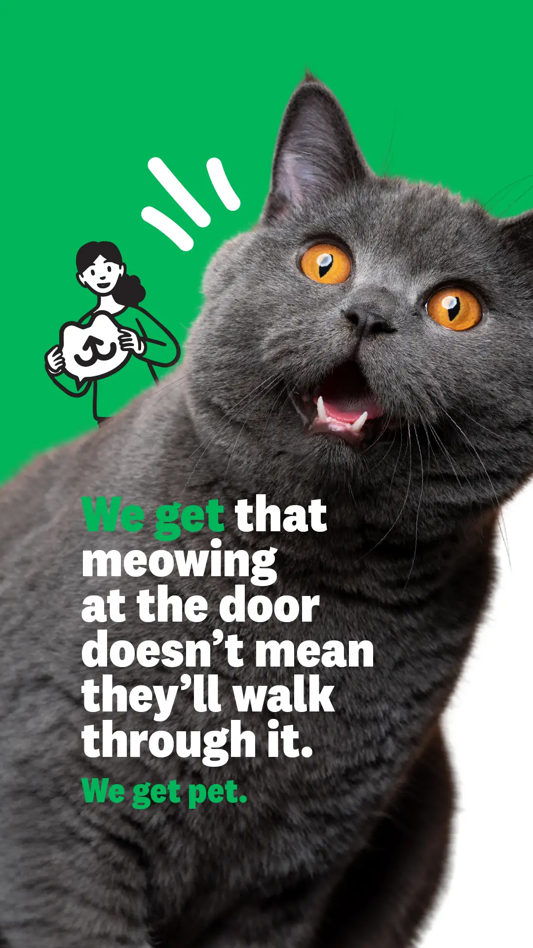 A cat meows in a pet direct advert with a character holding the petdirect logo