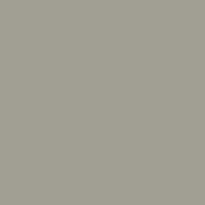Grigio Bistro Laccato Opaco (701)