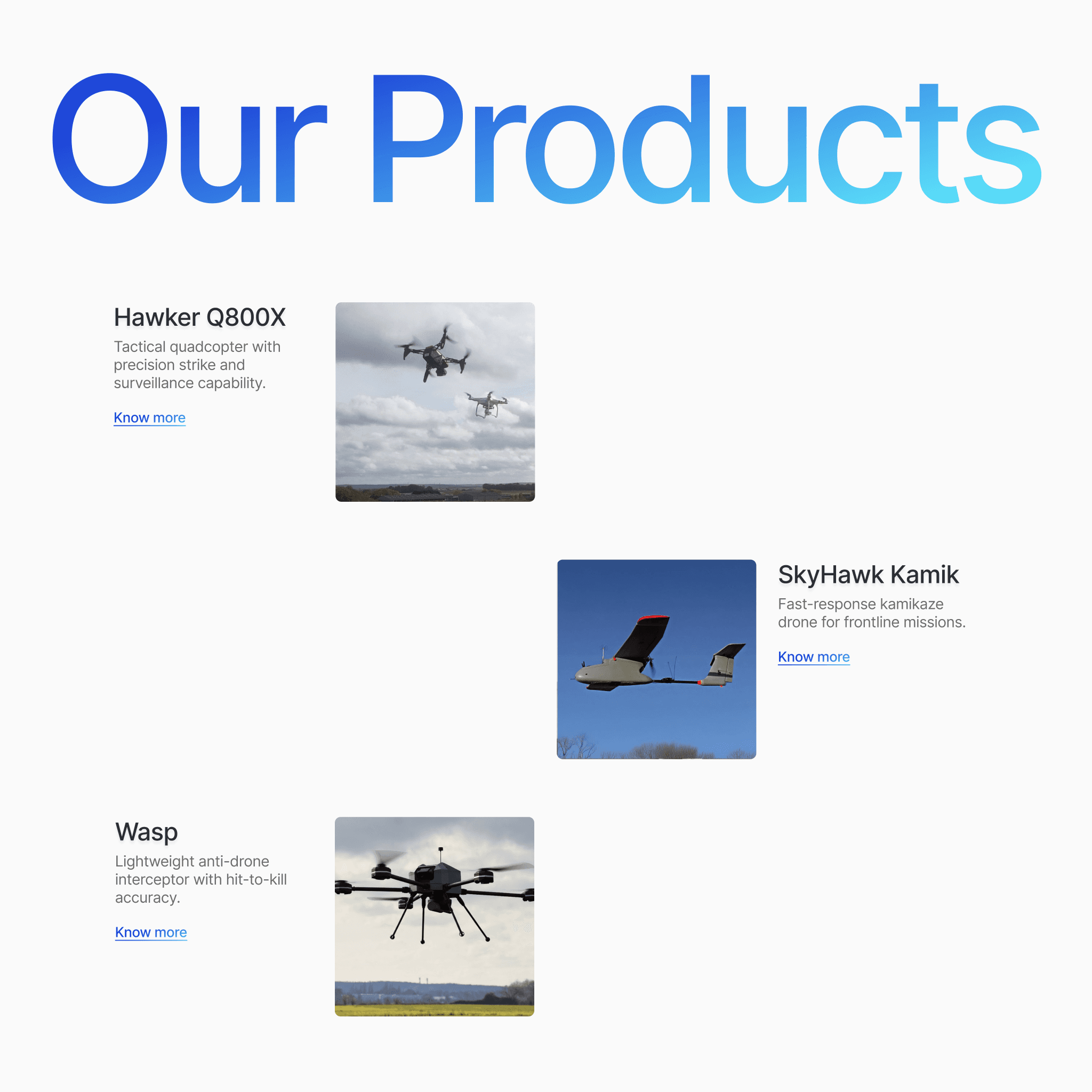 RRP Defence, Website