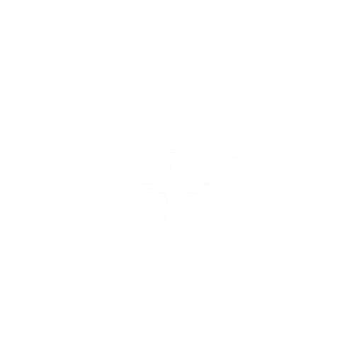 Drishtiva icon