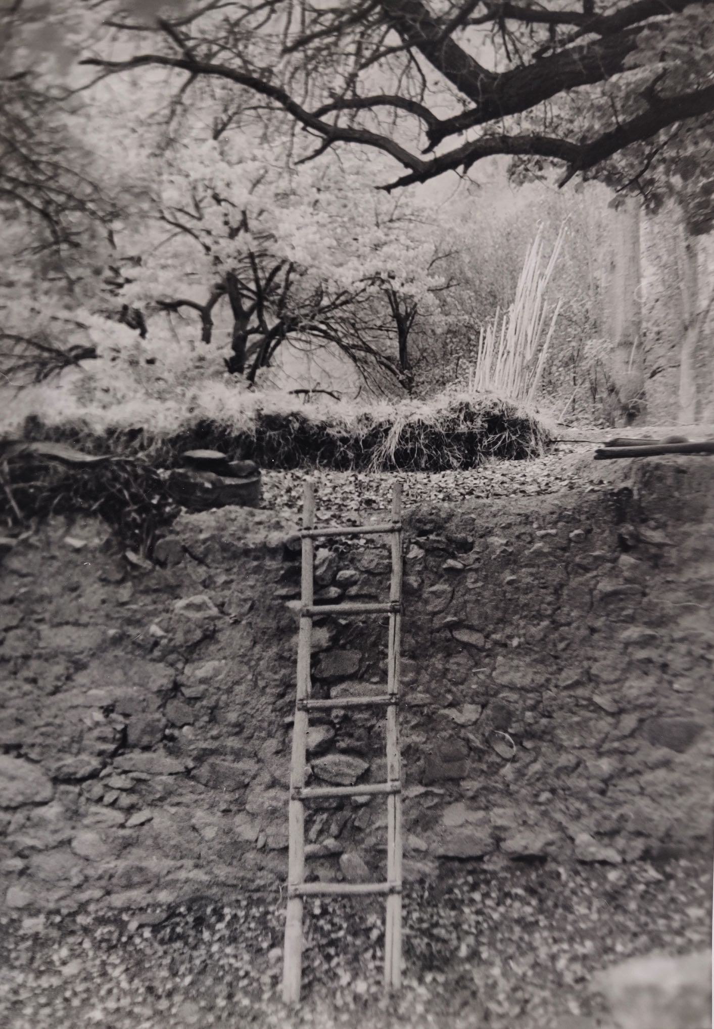 herd of sheep on road painting