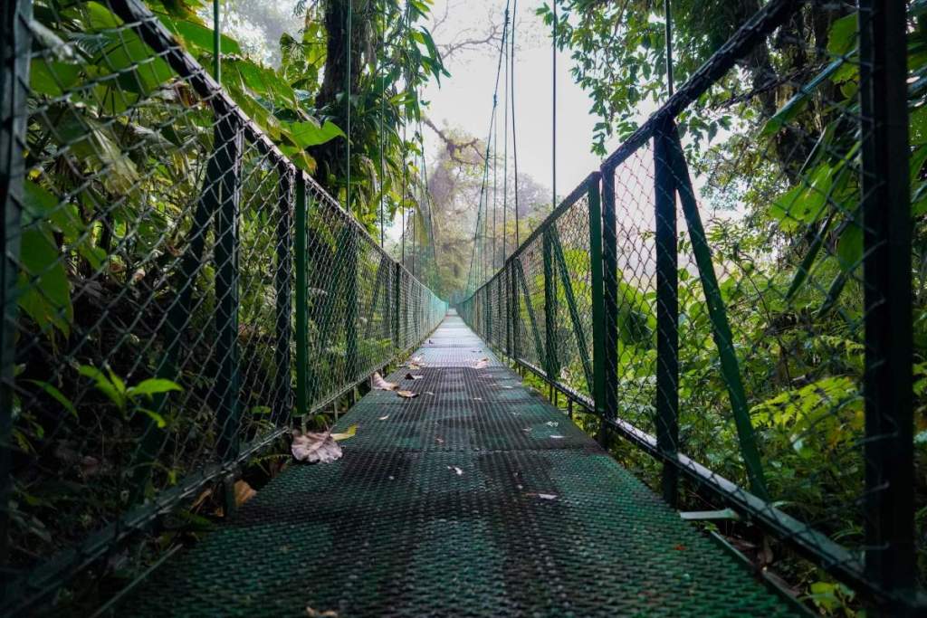 Hanging bridges in Monteverde Cloud Forest Reserve, Costa Rica