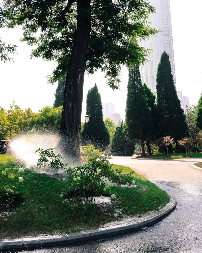 Water spraying from a leaking irrigation system in landscaped greenery