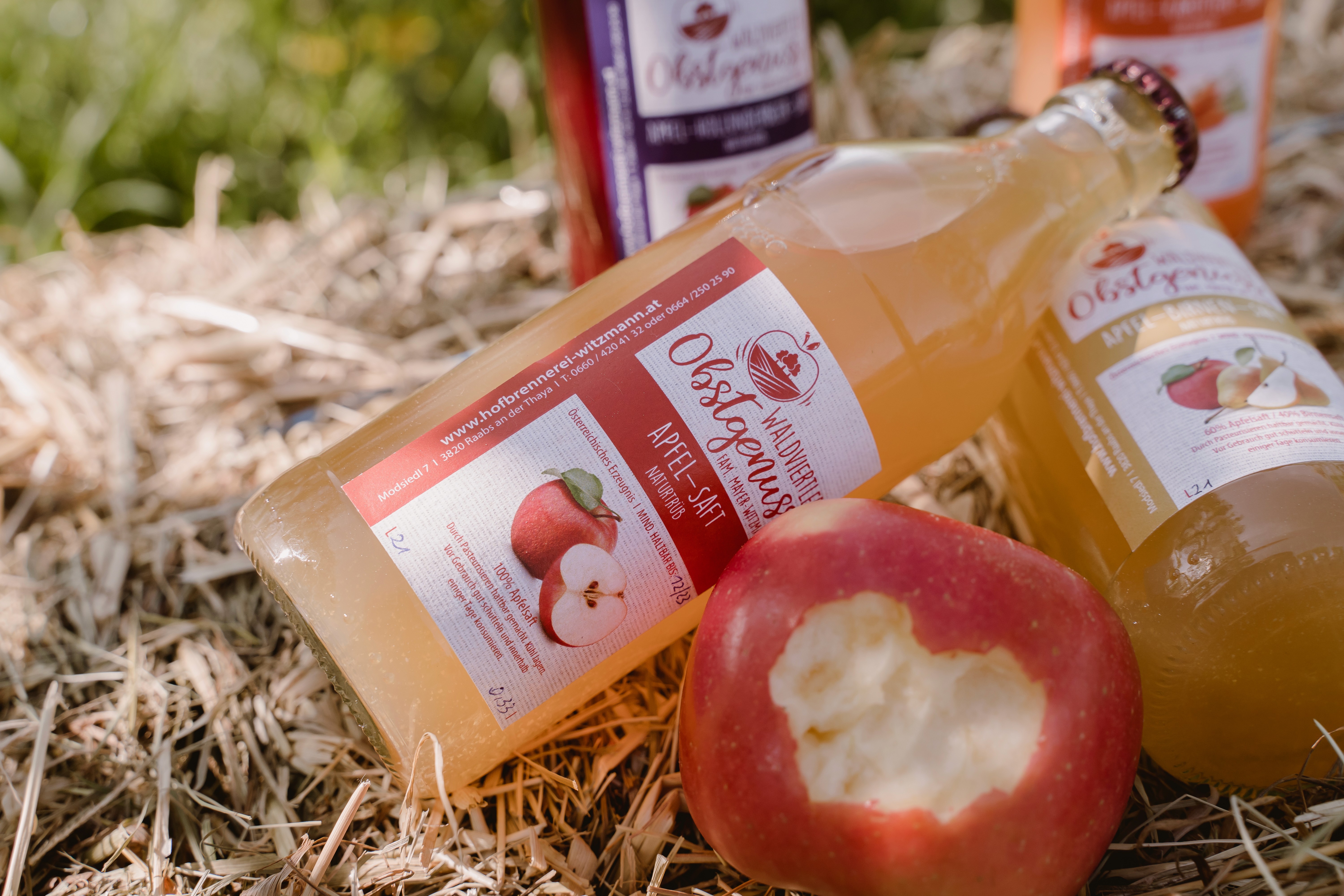 Wooden raised beds with seasonal greenery in the outdoor plant yard at Florent Garden