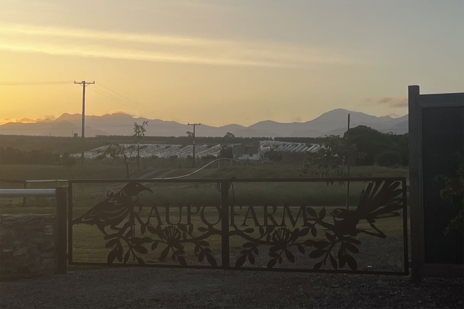 RAUPO FARM CUSTOM GATE DESIGN