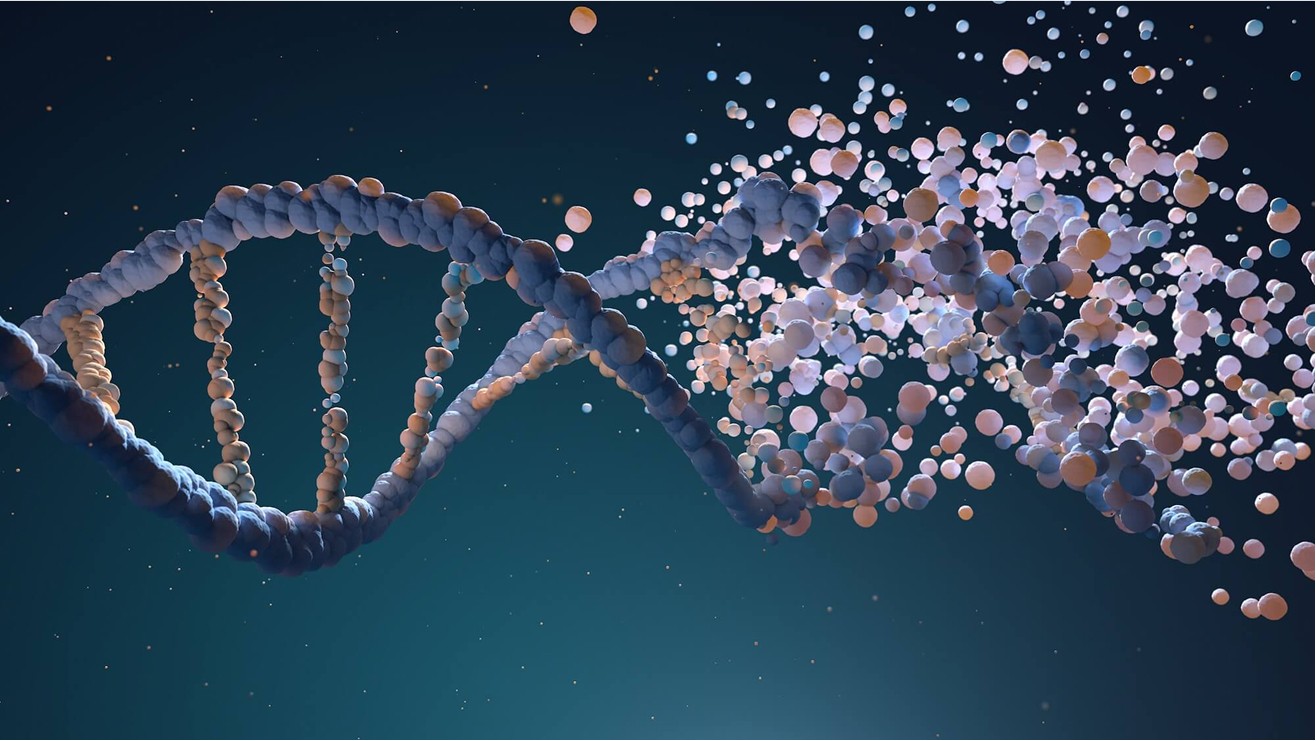 DNA strand