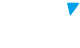 Wellav official logo