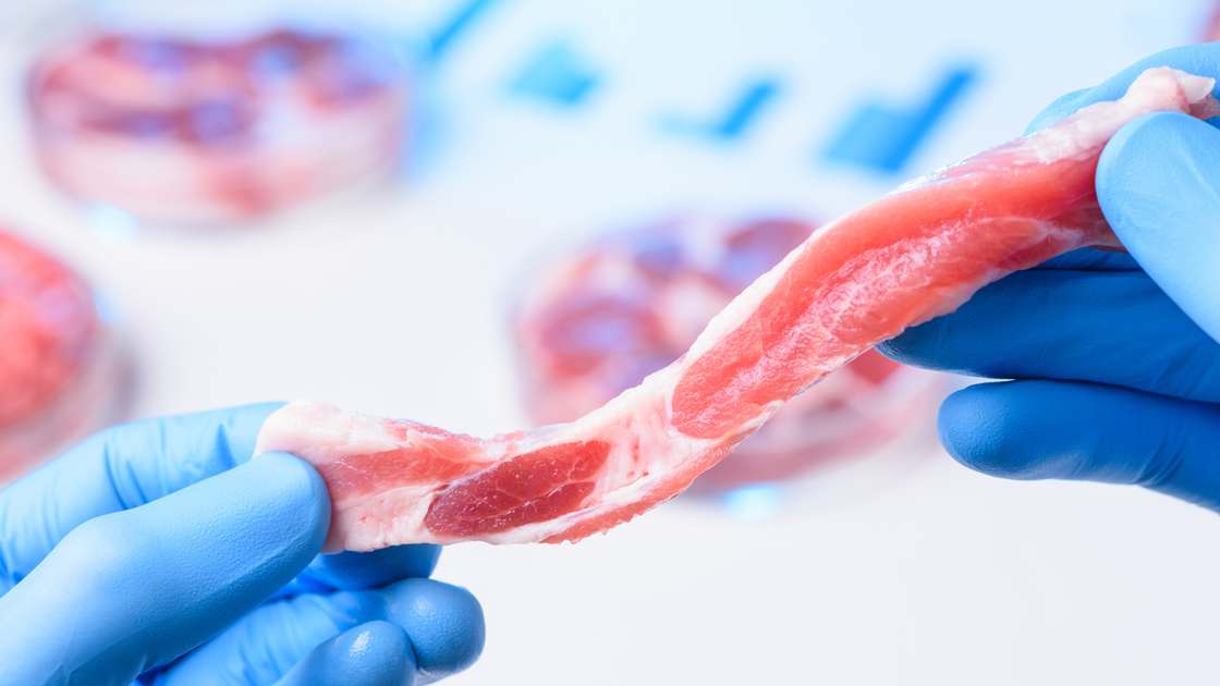 Two blue-gloved hands stretching a strip of raw meat, with petri dishes of cultivated meat blurred behind