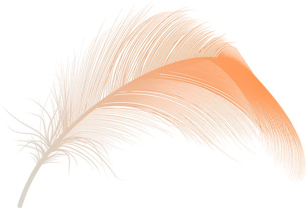 Orange feather