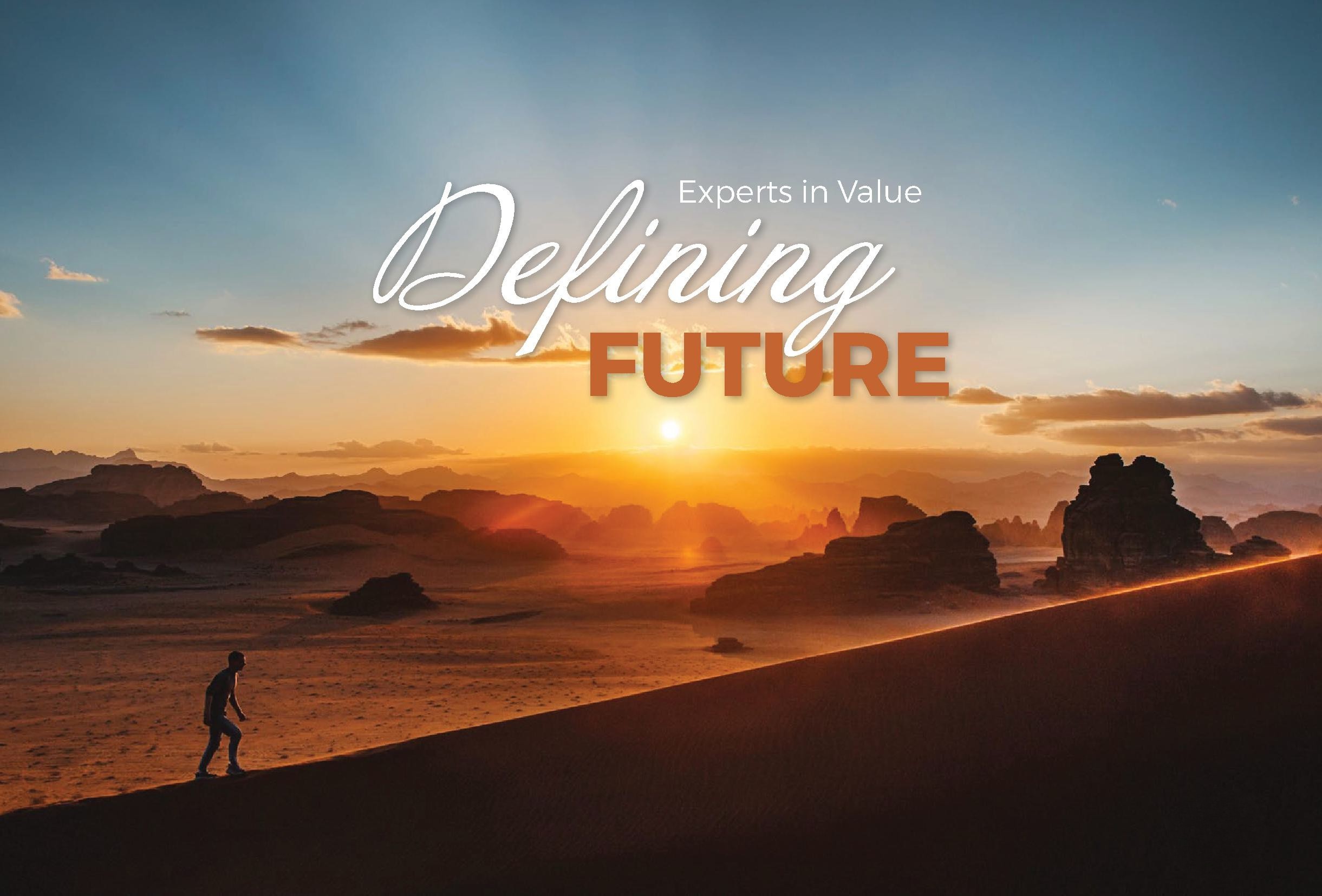 Annual and market report design for Value Experts' consulting services