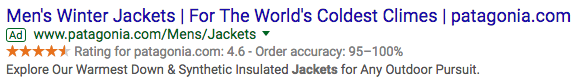 Google ad for Patagonia promotes men’s winter jackets “for the world’s coldest climes.” Highlights include down and synthetic insulation, 4.6-star rating, and high order accuracy.