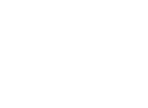 Derbyfish logo