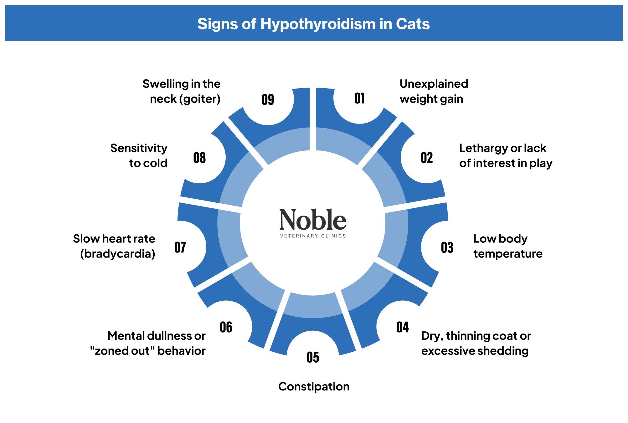 An infographic showing the symptoms of hypothyroidism in cats.
