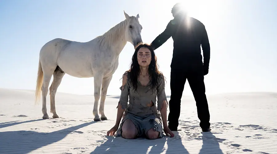 A dream: a white horse on pale sand, a young woman kneeling, a figure against the sun