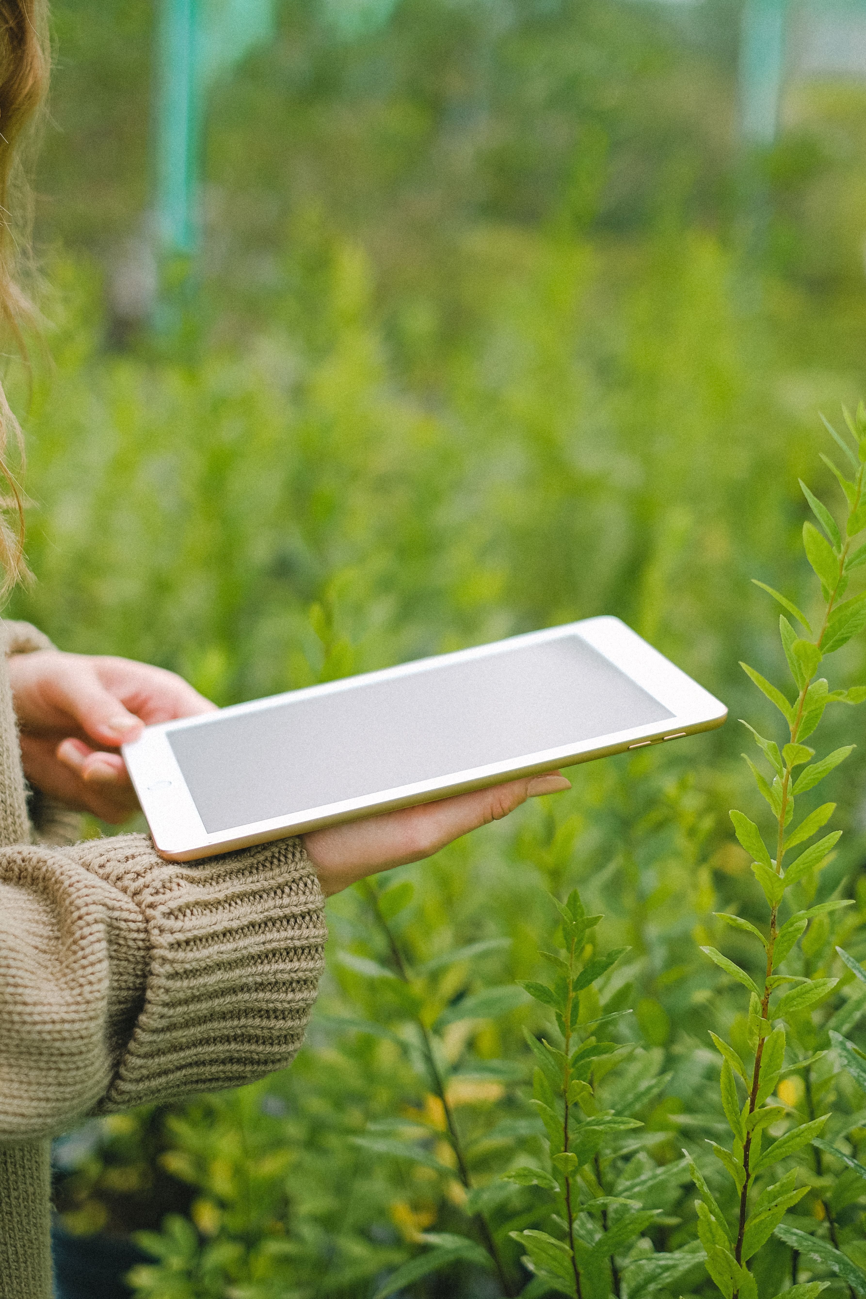 Garden Tablet Moment cover image