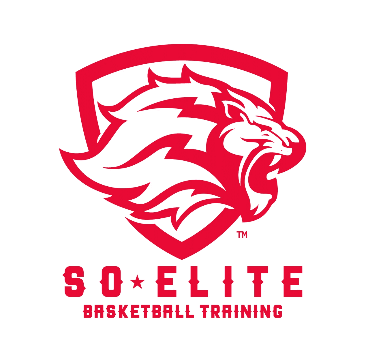 A man in a gray blazer and brown vest, with gray-streaked hair, poses against a neutral background.