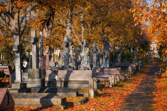 9. Brompton Cemetery