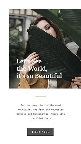  Creative Market - Instagram Stories Pack - Pande 