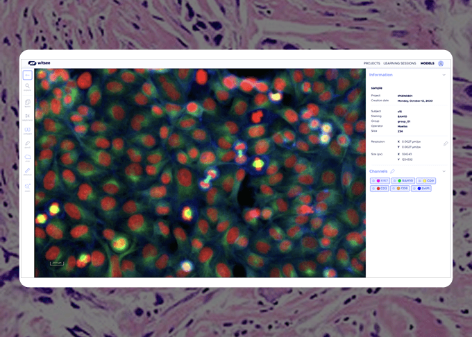 Witsee Desktop UI
