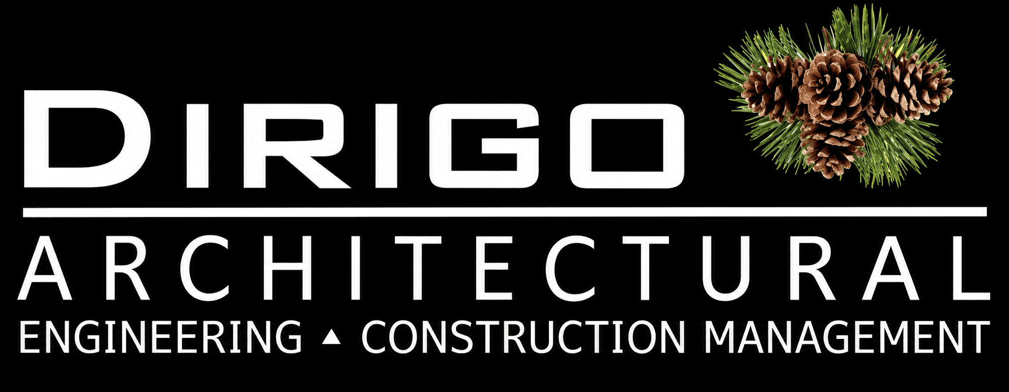 Dirigo Architectural Engineering logo