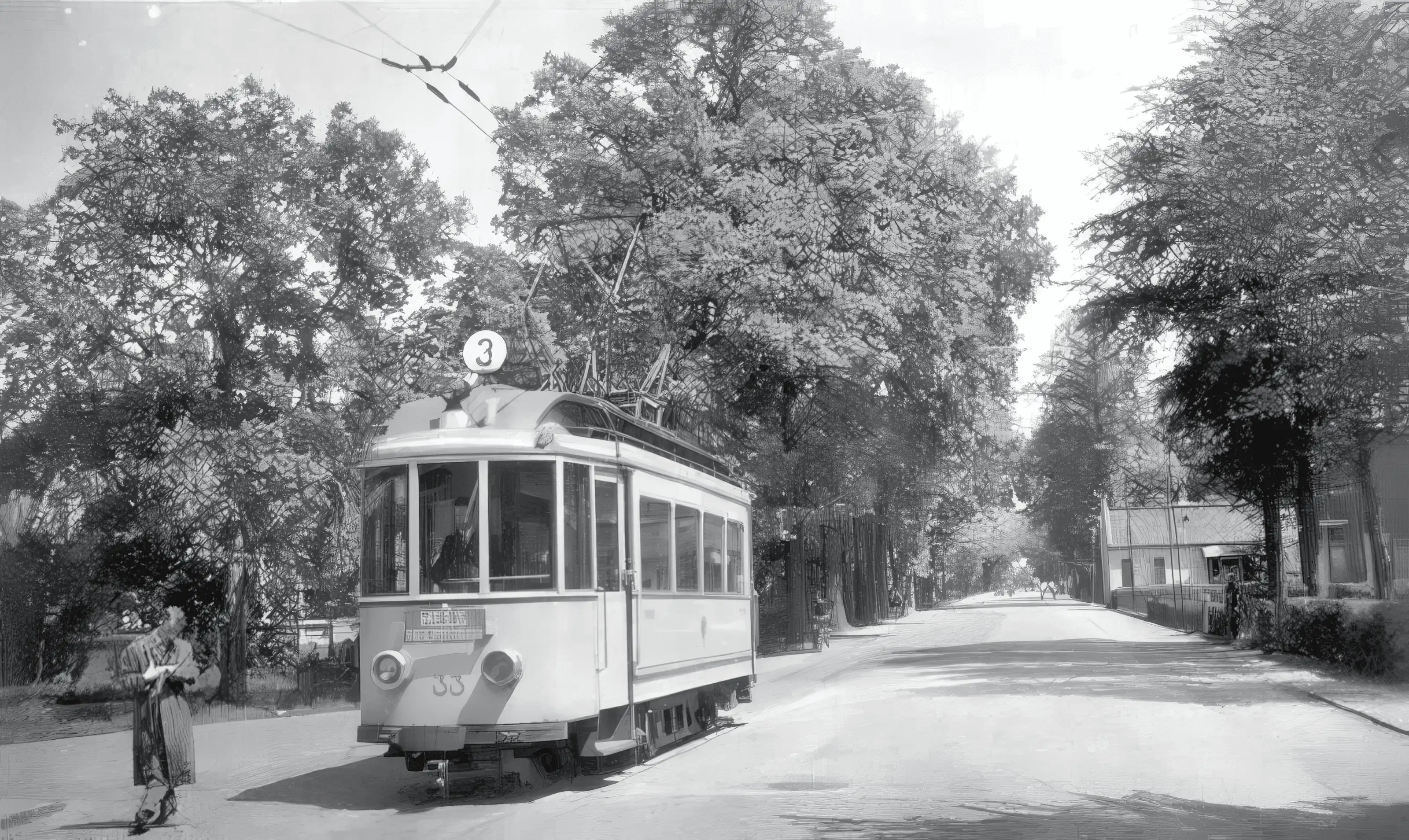 Tramlijn 3 Nijmegen Hees
