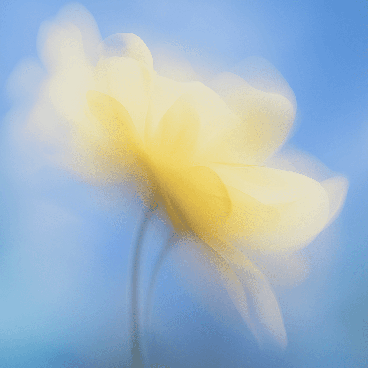 Abstract visual representing physical activity, energy, and active lifestyle habits