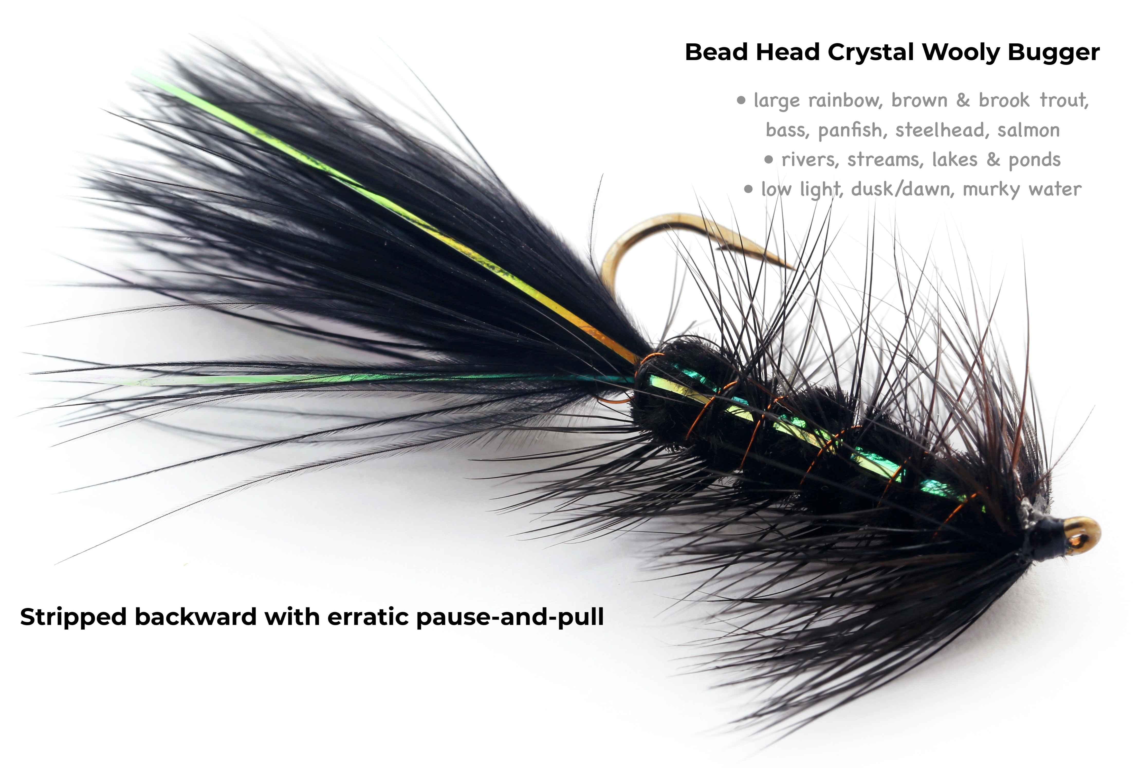 bead head crystal wooly bugger
