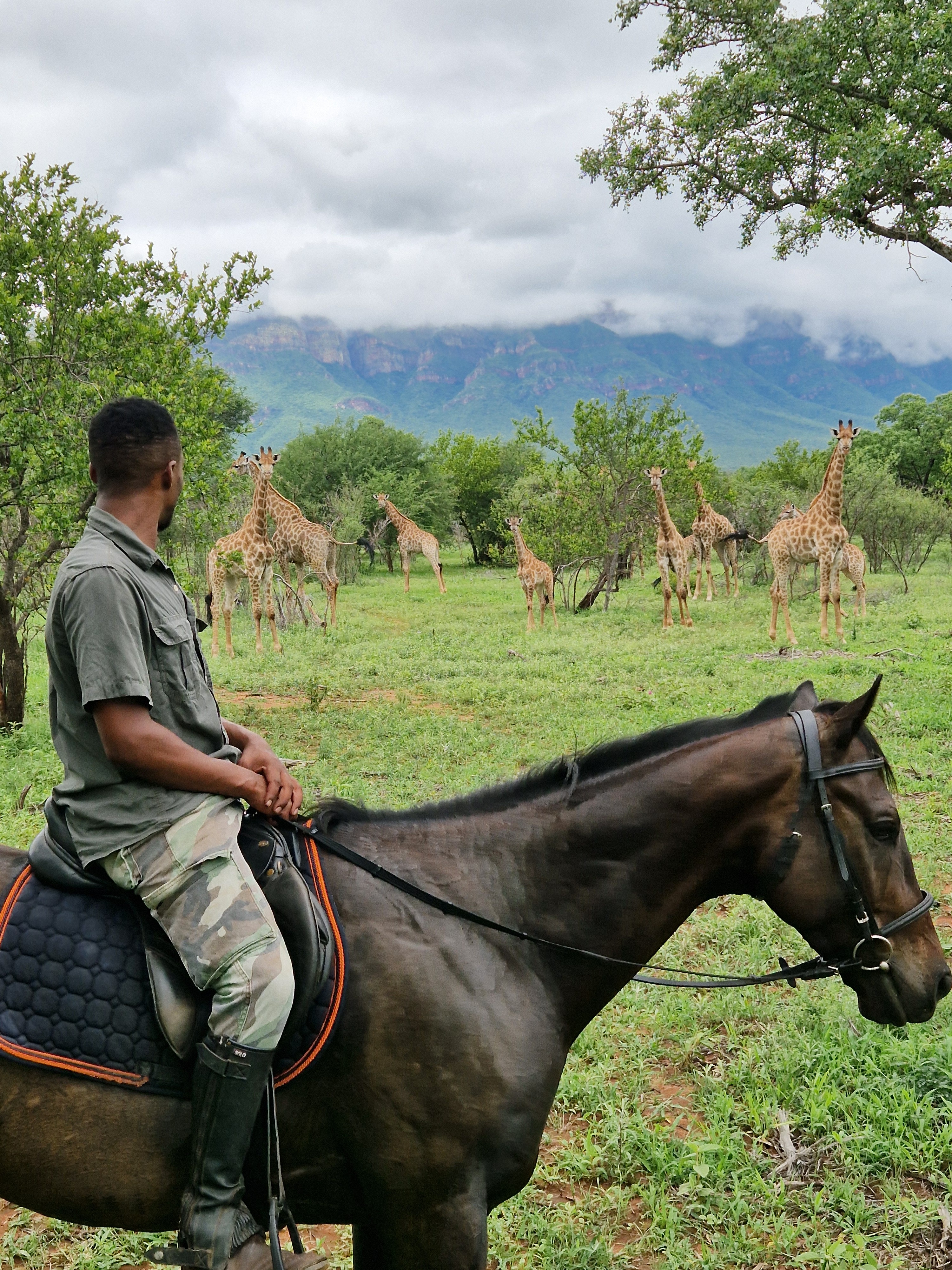 Kilimanjaro Elephant Ride, Arusha National Park, Tanzania – elefant i högt gräs tittar mot kameran, medan fem ryttare till häst på ridsafari i bakgrunden betraktar elefanten i ett grönt och frodigt landskap.