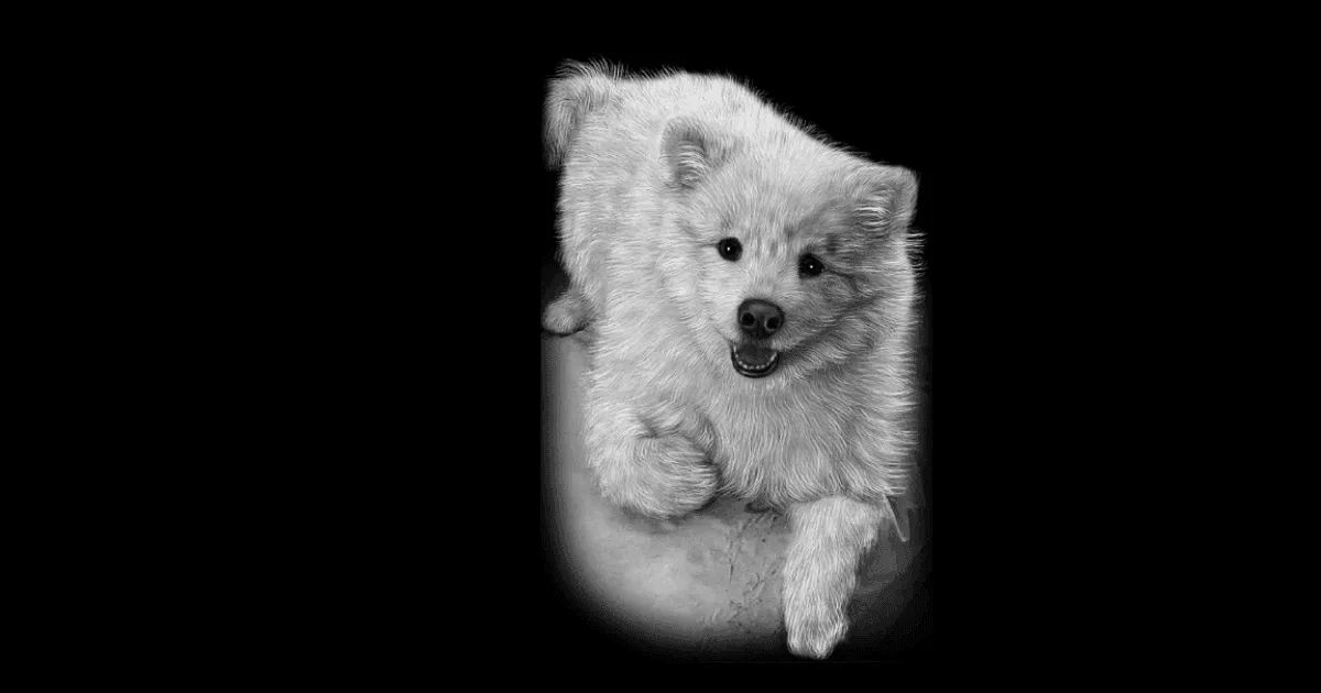 custom pet memorials