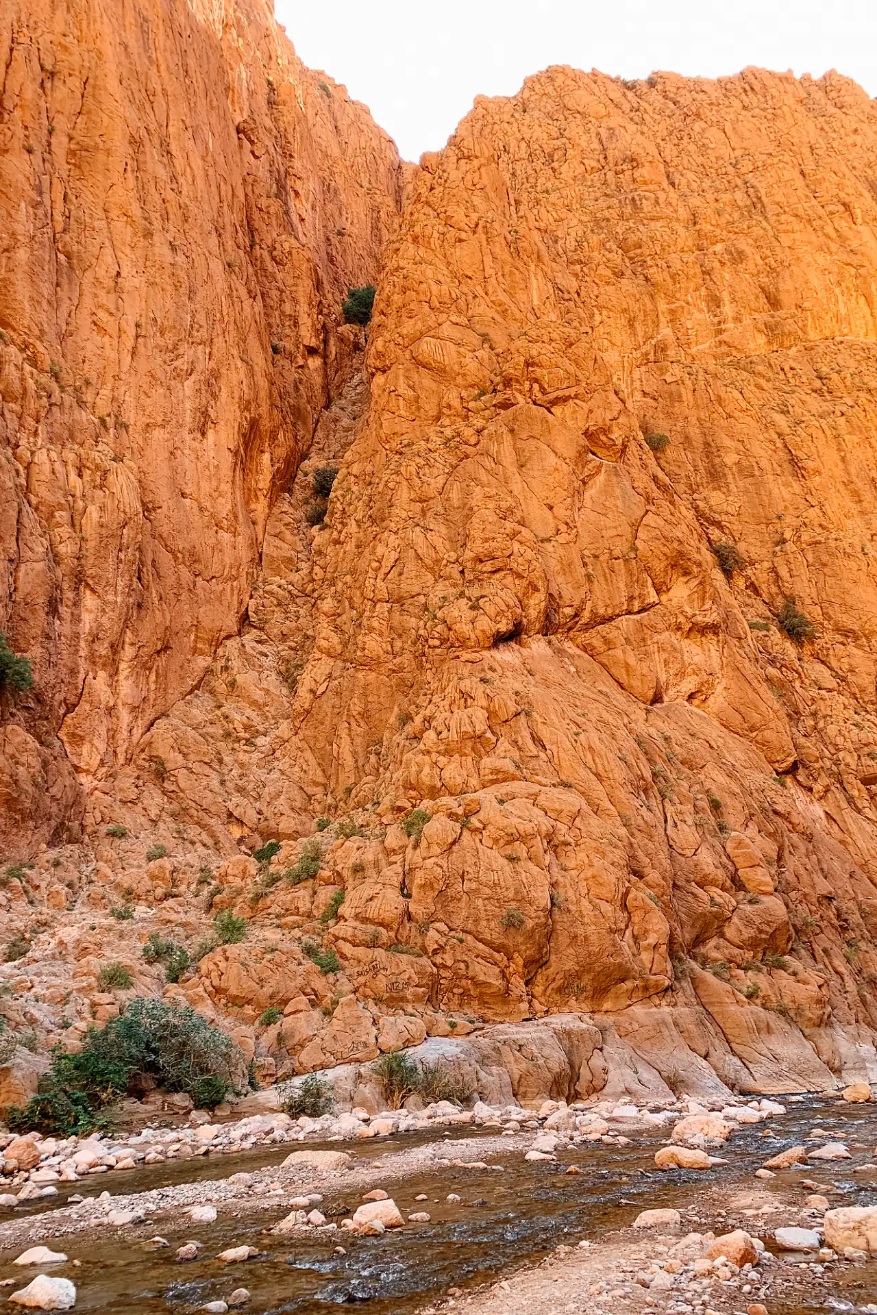 A rocky mountainside with a stream running at its base.