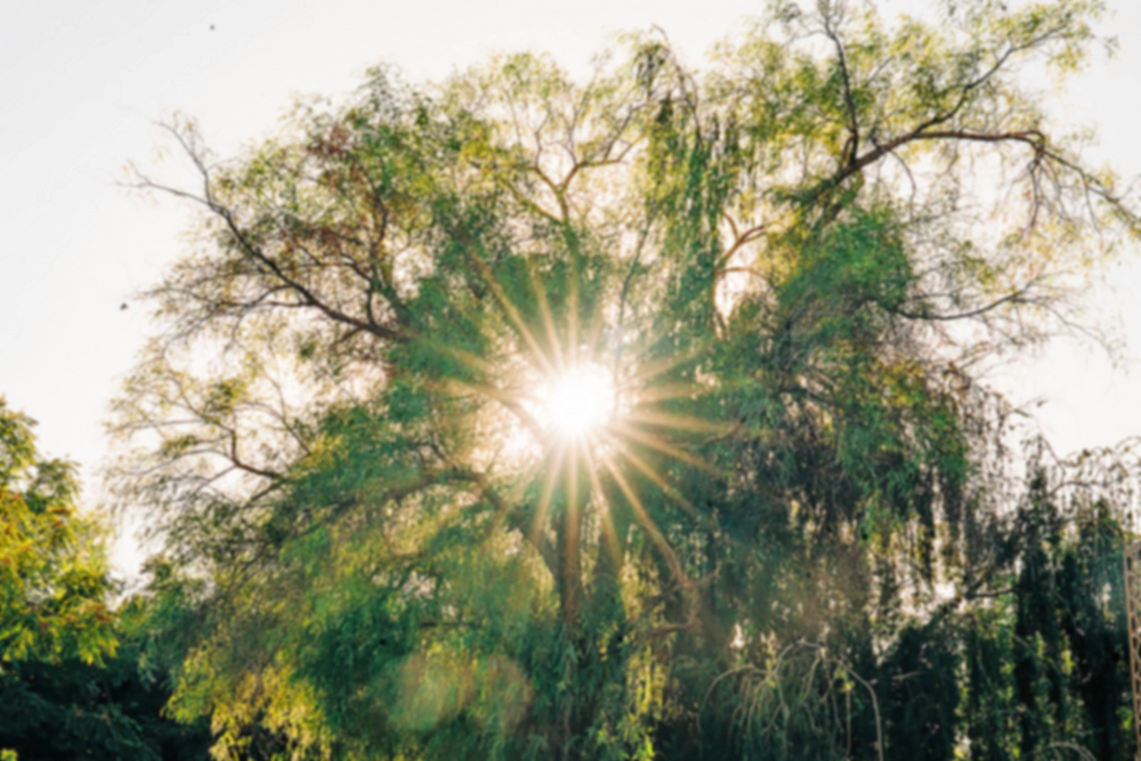 Bellevoire Reception