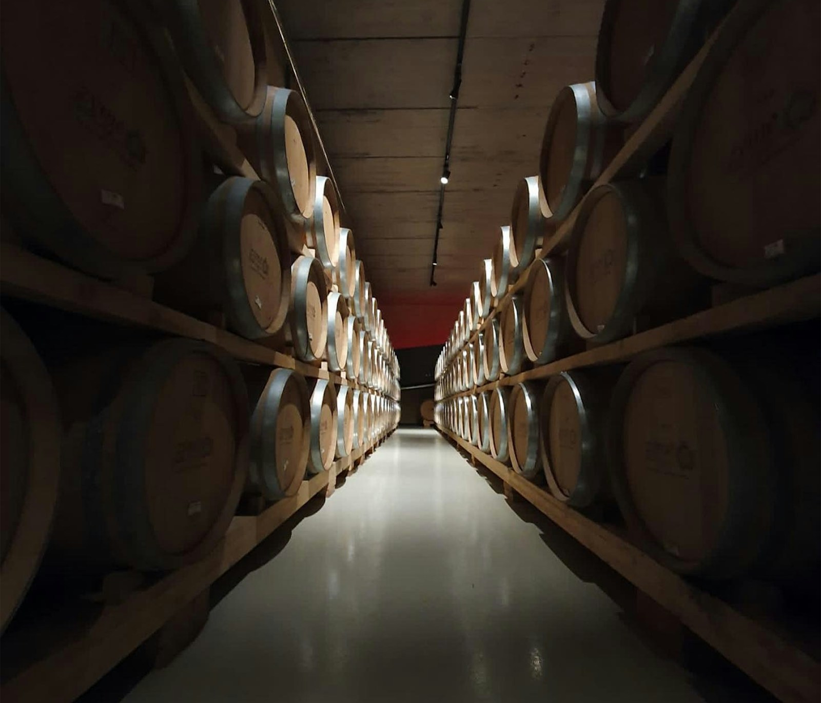 Rows of wooden barrels in a cellar