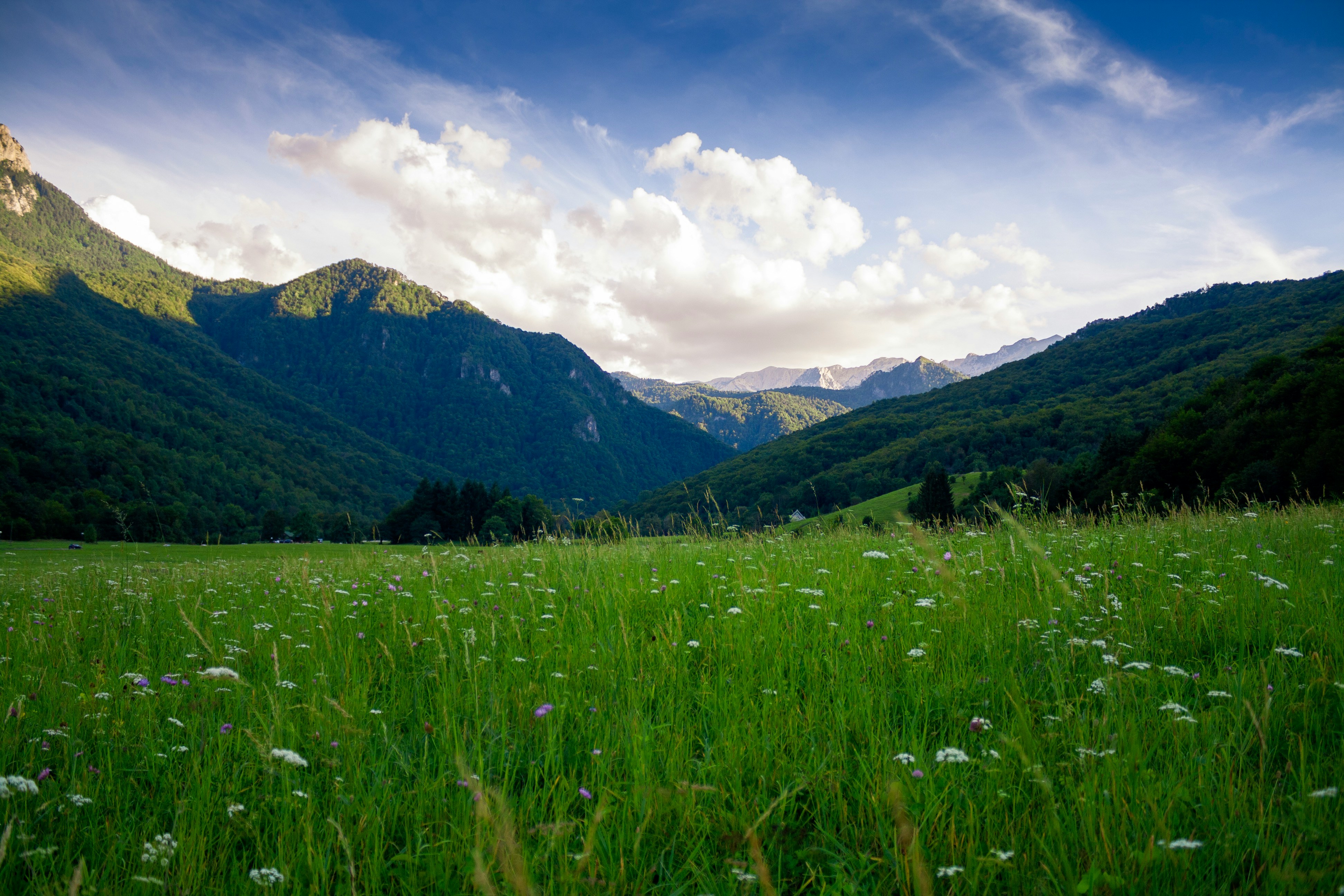 meadow area and mountain ranges