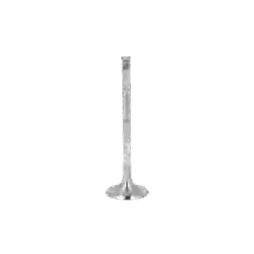 Engine Valve