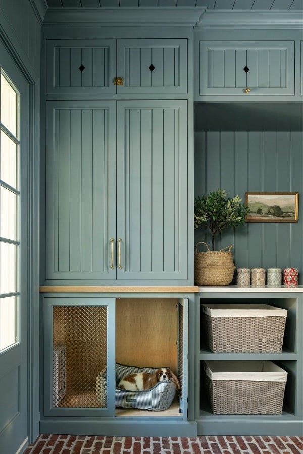 Custom Shelving for Pet Supplies