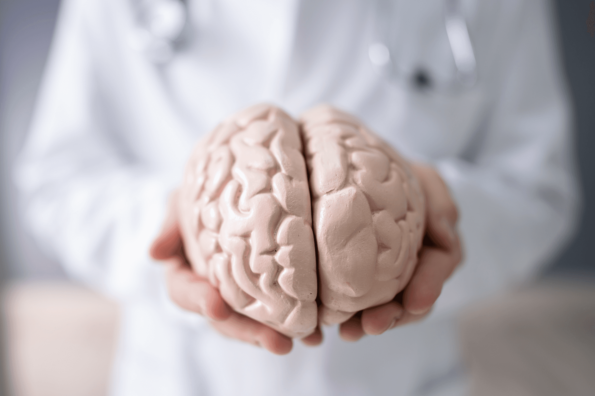 A medical professional holding a model of the human brain out towards the website visitor.